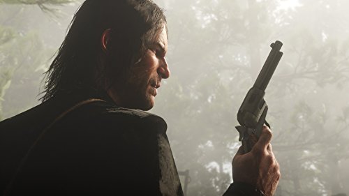 Red Dead Redemption 2 for PS4