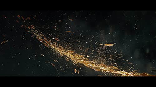 Elden Ring for PlayStation 4