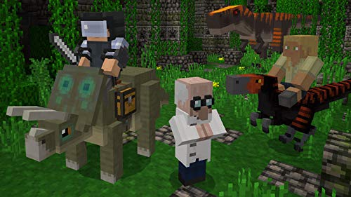 PS4 Minecraft Starter Pack