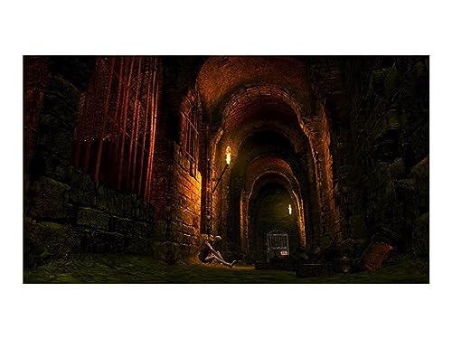 Dark Souls Trilogy for PlayStation 4