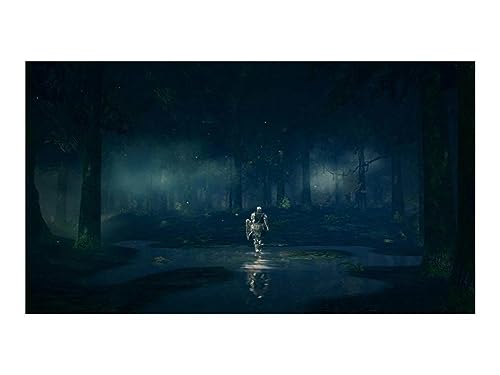 Dark Souls Trilogy for PlayStation 4