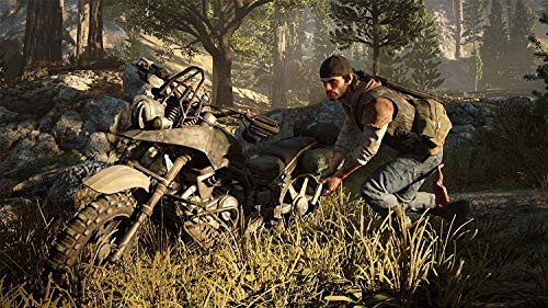 Days Gone PS4 Game