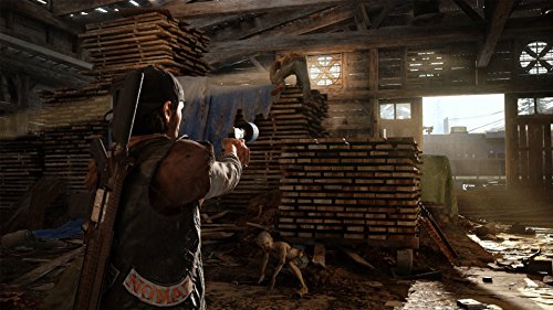 Days Gone PS4 Game