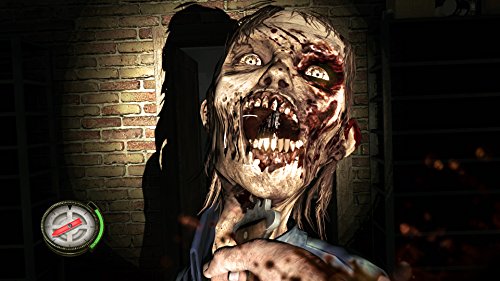 The Walking Dead: Survival Instinct - PS3