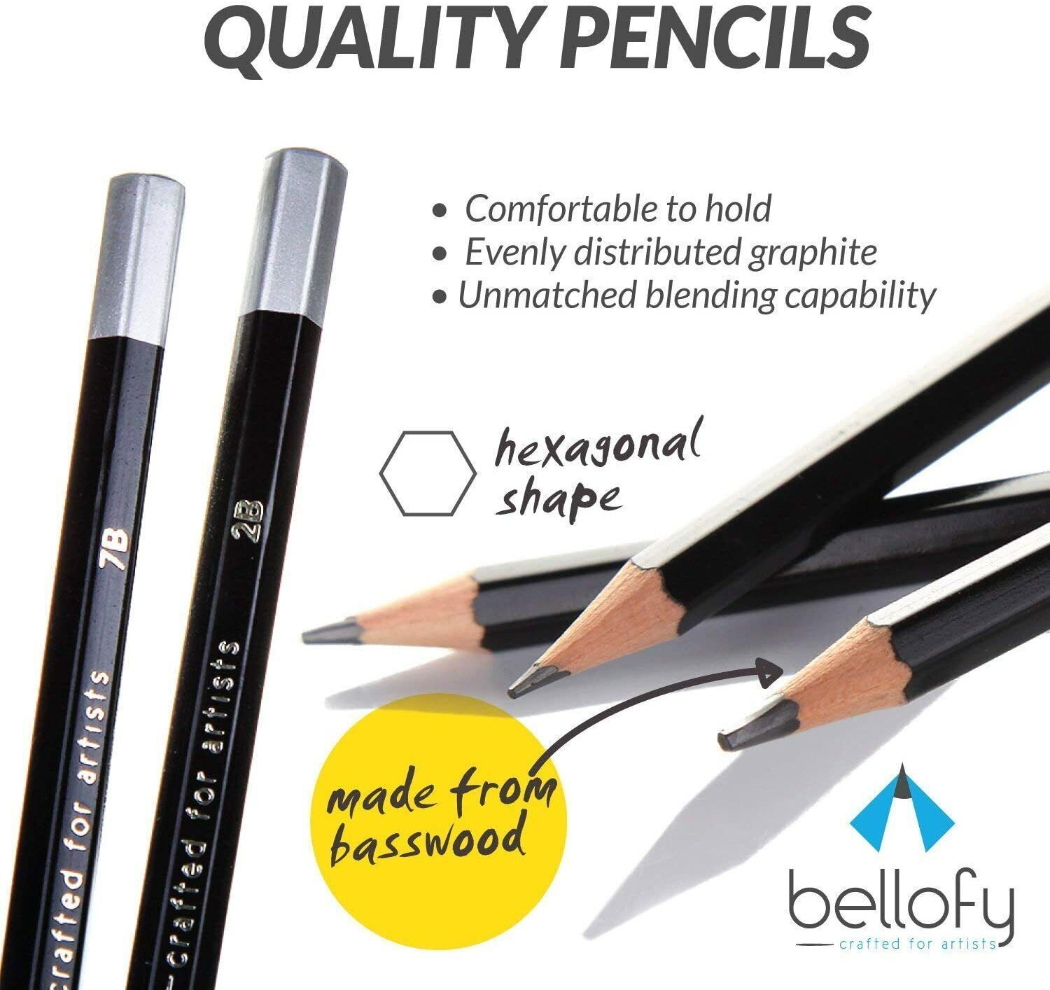 Professional 12 Piece Graphite Pencil Set for Drawing