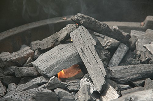 20lb Bag of Natural Lump Charcoal