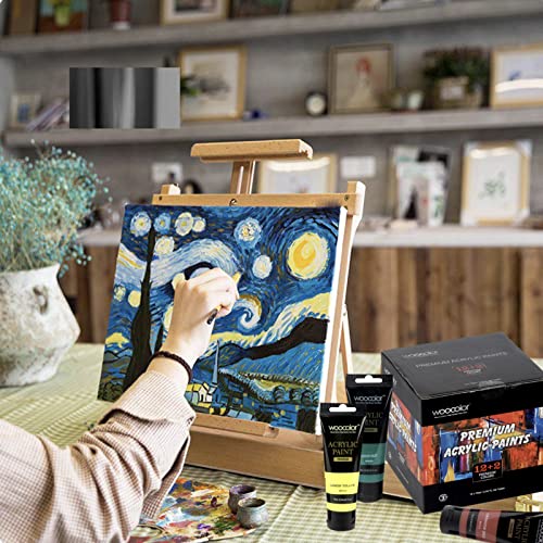 14 Color Acrylic Paint Set with Metallics