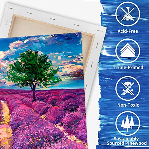 8-Pack Stretched Blank Canvas, 11x14 Inches, Primed