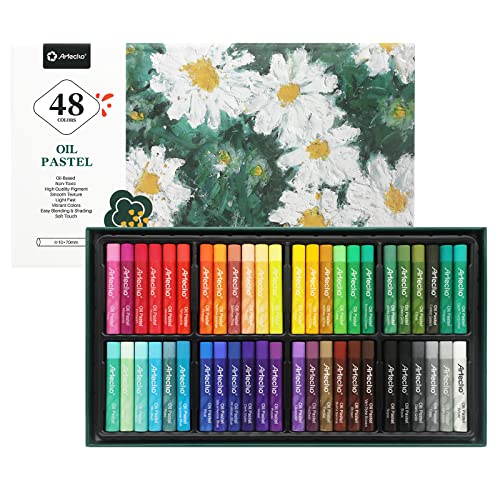 48-Color Oil Pastels Set for Painting and Drawing