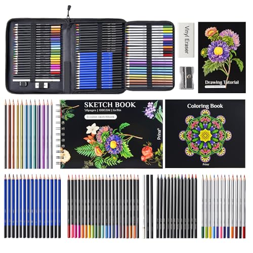 PRINA 81 Pro Sketch Kit with Rainbow Supplies