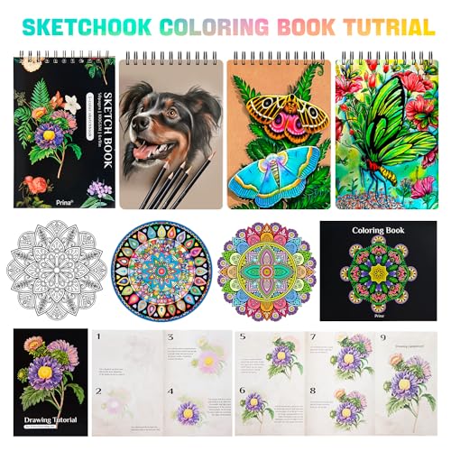 PRINA 81 Pro Sketch Kit with Rainbow Supplies