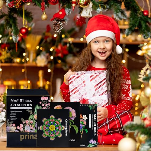 PRINA 81 Pro Sketch Kit with Rainbow Supplies