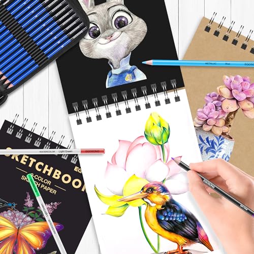 Pro Art Sketching Set with 73 Drawing Supplies