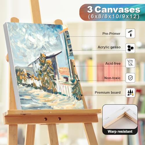 Deluxe Art Paint Kit with Canvases, Brushes & Palette