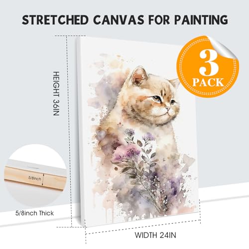 ESRICH 24x36 Stretched Canvas 3 Pack for Painting