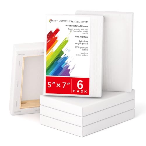 6 Pack 5x7 inch Stretched Blank Canvases for Painting