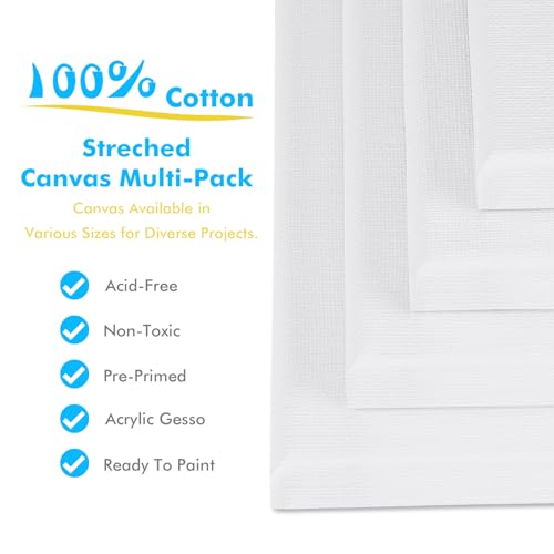 GOTIDEAL Stretched Canvas Board Multi Pack - Set of 4