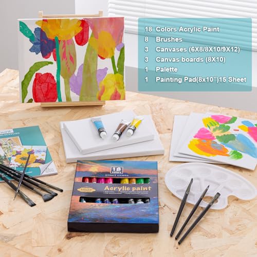 Acrylic Paint Set with 6 Canvases, 18 Paints