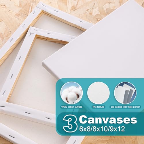 Acrylic Paint Set with 6 Canvases, 18 Paints