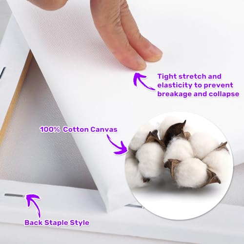 32 Pack Professional Stretched Canvas for Painting Variety