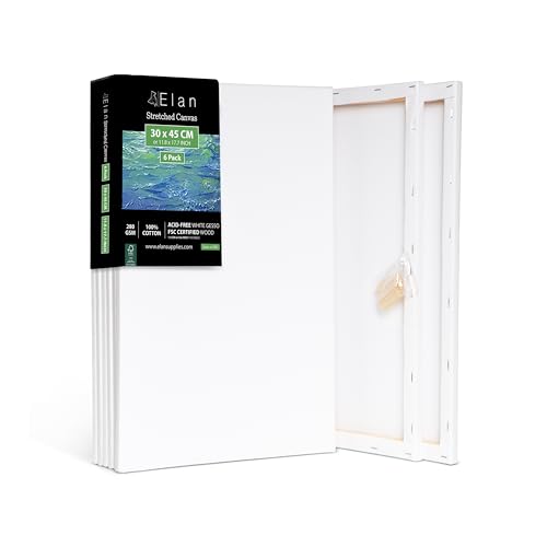 12x18 Elan Stretched Canvases, 6-Pack Art Paint Canvases