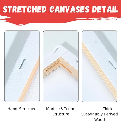 3 Pack Flower Girl Pre Drawn Canvas Set