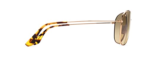 Maui Jim Cliff House Polarized Aviator Sunglasses Gold Bronze