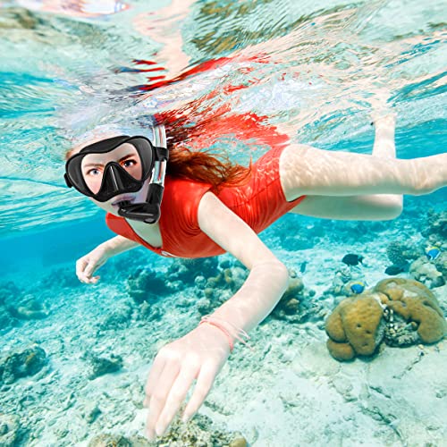 Bairuifu Full Dry Top Silicone Snorkel Mask