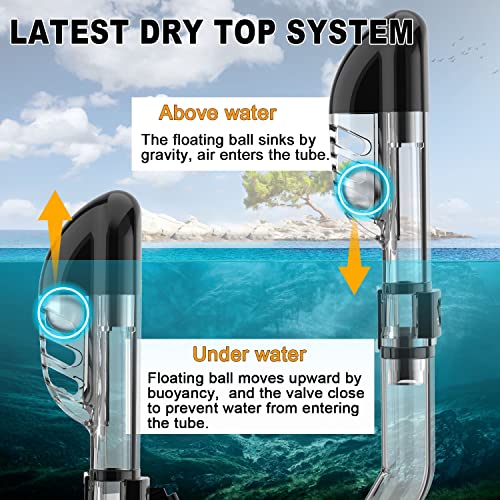 Foldable Snorkel Mask Set with Camera Mount
