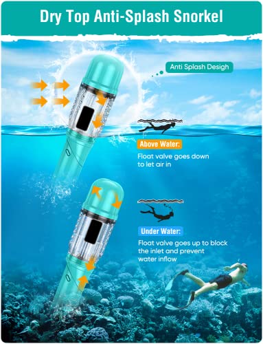Seovediary Adult Snorkel Set with Panoramic View