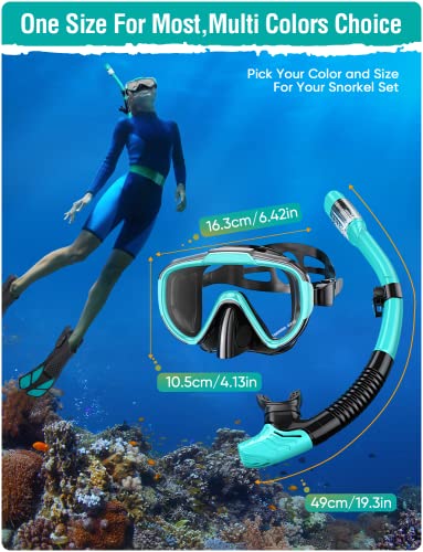 Seovediary Adult Snorkel Set with Panoramic View