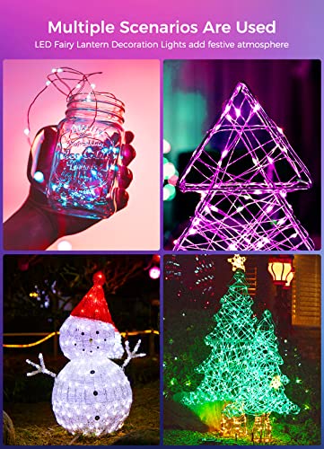 Color Changing Fairy Lights for Christmas Parties