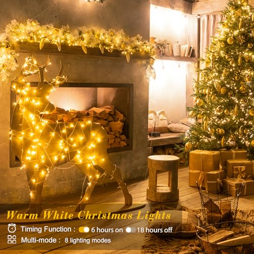 100 LED Warm White Christmas String Lights