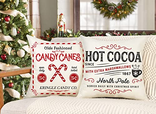 Farmhouse Christmas Pillow Covers Set of 4