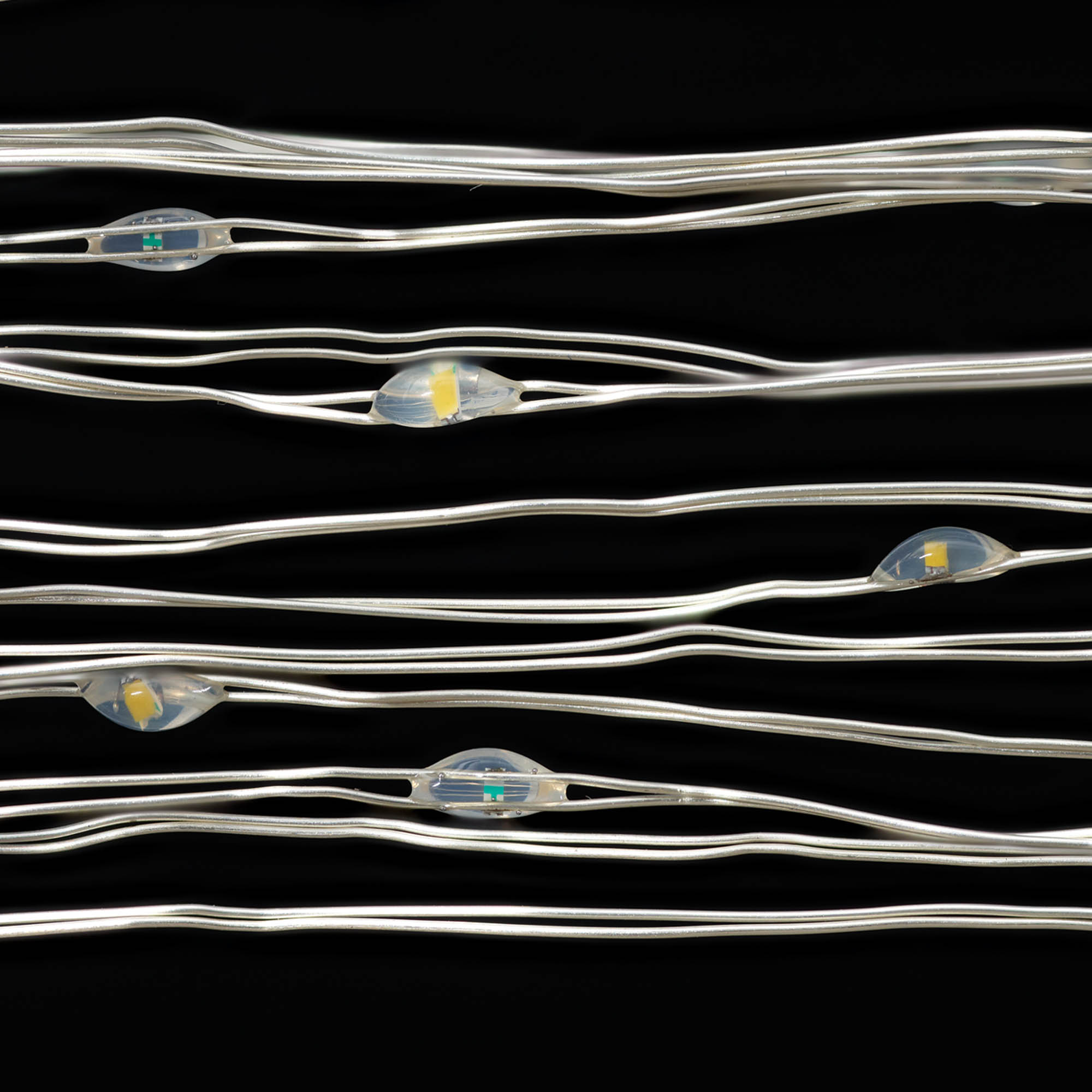 Indoor 50-Count LED Christmas Lights