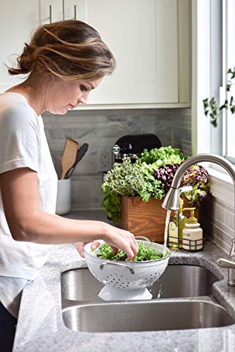 Cucina Coriander & Olive Tree Dish Soap Liquid Refill