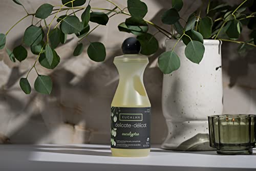 Eucalyptus Fine Fabric Wash: 16.9 Ounce