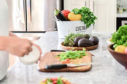 Cucina Coriander & Olive Tree Dish Soap Liquid Refill