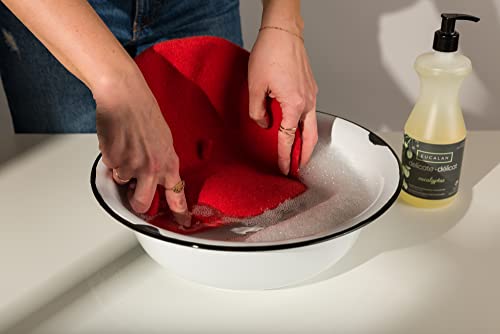 Eucalyptus Fine Fabric Wash: 16.9 Ounce