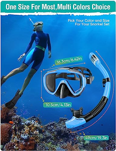 Adults Snorkel Set: Anti-Fog Swim Mask, Dry Top Snorkel