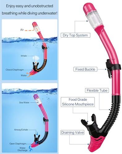 Ubekezele 4-in-1 Snorkel Set for Adults, Panoramic View