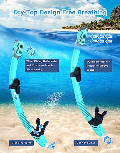 Adults Snorkel Set with 180° Panoramic View