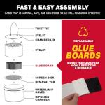 Oasis Ovi-Mini Mosquito Trap 4 Pack - Pet Safe