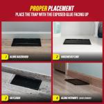 Catchmaster 12PK Indoor Pest Control Glue Traps Mouse/Rat