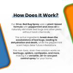 Natural Bed Bug Killer Spray, Pet & Child Friendly