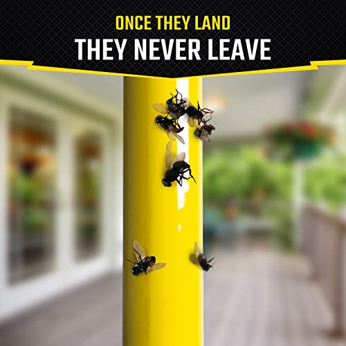 Black Flag Fly Stick Trap, Pack of 6