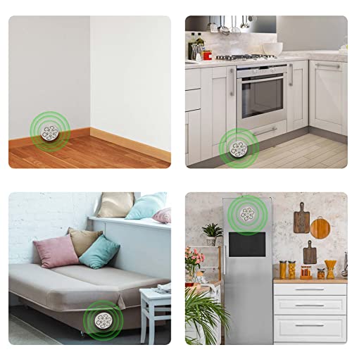 4-Pack Peppermint Oil Rodent Repellent for Engines, Garages