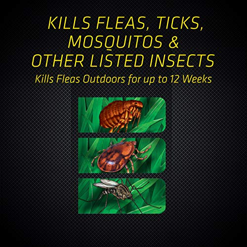 Black Flag Flea & Tick Killer Yard Treatment, 32oz