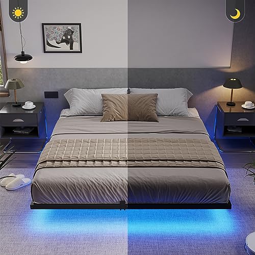 Queen Size Floating Bed Frame with LED Lights