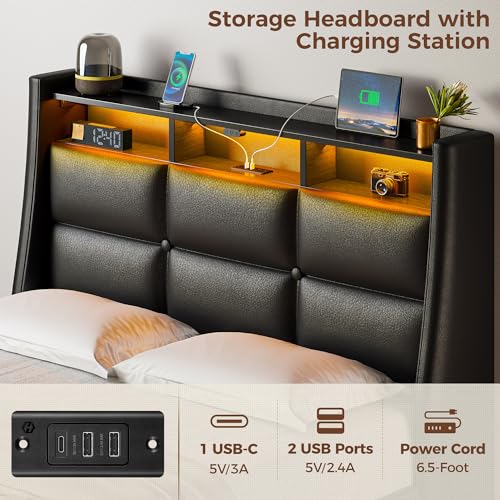 Rolanstar Twin Bed Frame with LED Lights & Storage